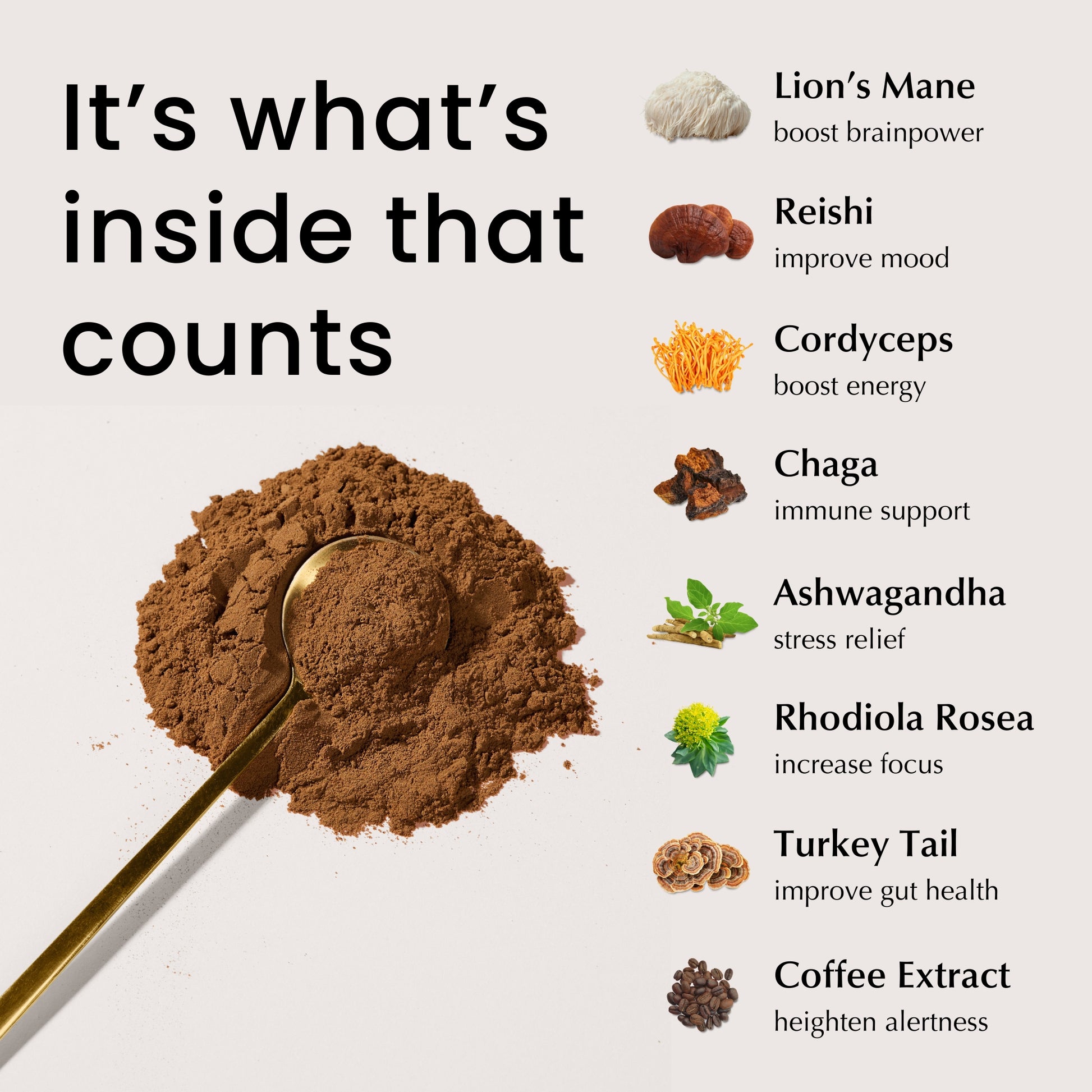 The 8 ingredients inside Mogul Mushroom Coffee